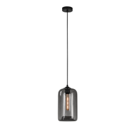 Pendelleuchte Botany E27 – Glas, 3 Farben, dimmbar 2