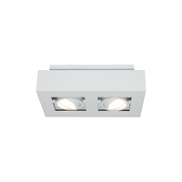 Aufbauspot Bosco GU10 2-flammig – dimmbar 1