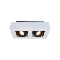 Aufbauspot Bosco GU10 2-flammig – dimmbar 2