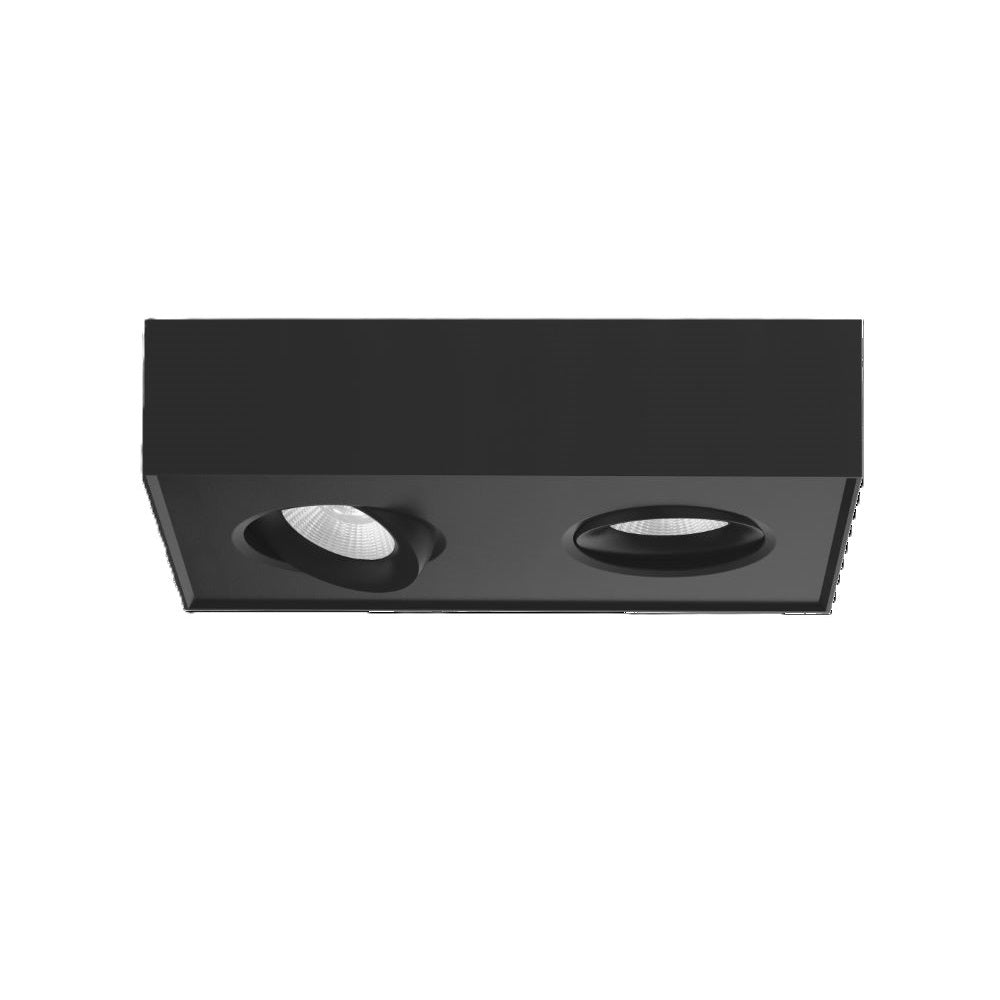 Deckenleuchte Brooklyn 2-flammig LED Schwarz