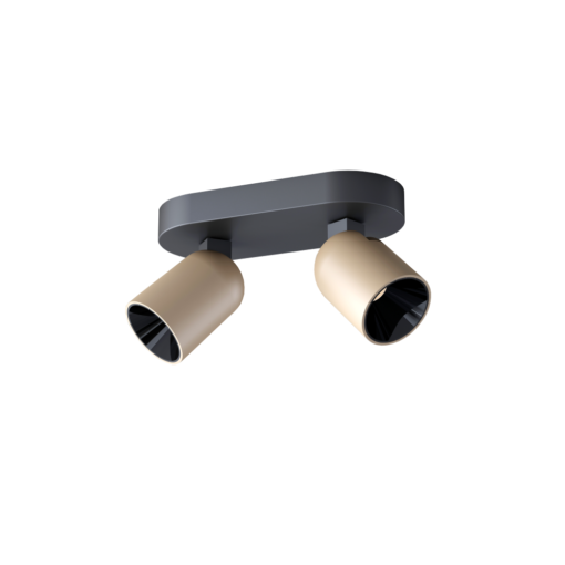Deckenleuchte Houston 2-flammig LED 2700K – schwenkbare Spots, dimmbar, innen