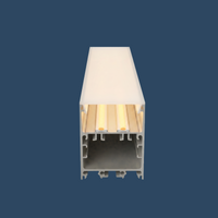 LED Profil Abdeckung | Passend für Singapur 1