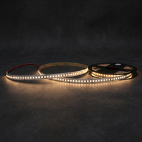 LED Streifen 24V RGB+Warmweiß 5050 14,4W/m IP20 – 25m, 60 LED/m, 10mm 2